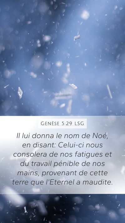Genèse 5:29 LSG Bible Verse Image