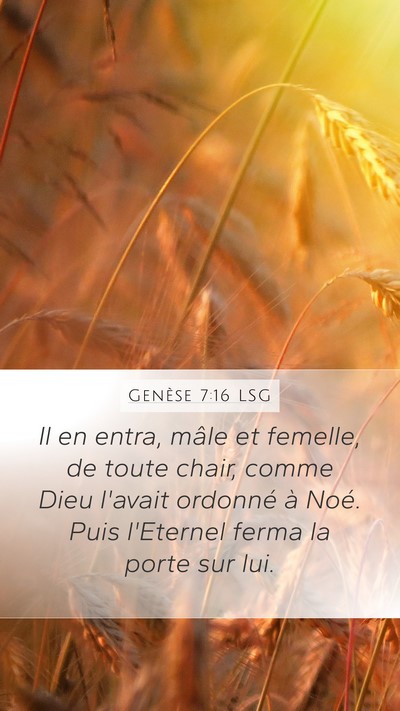 Genèse 7:16 LSG Bible Verse Image