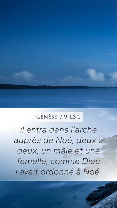 Genèse 7:9 LSG Mobile Phone Wallpaper - il entra dans l'arche auprès de Noé, deux à - Mobile Bible Verse Wallpaper
