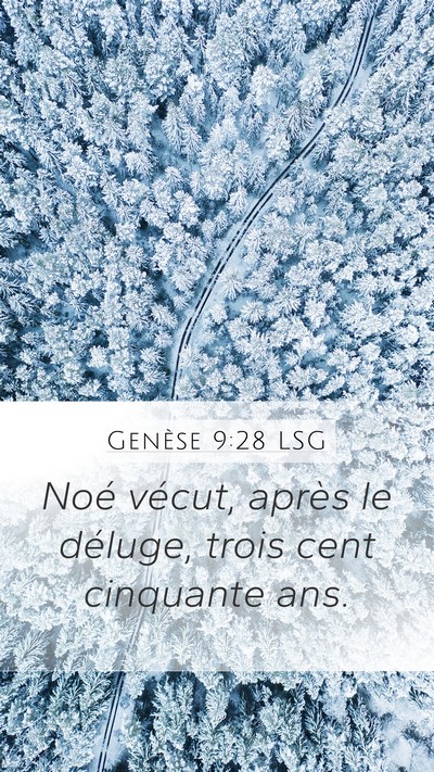 Genèse 9:28 LSG Mobile Phone Wallpaper - Noé vécut, après le déluge, trois cent - Mobile Bible Verse Wallpaper
