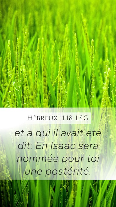 Hébreux 11:18 LSG Bible Verse Image