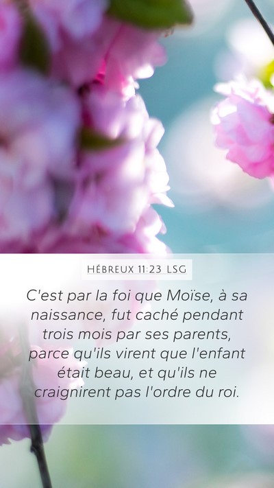 Hébreux 11:23 LSG Bible Verse Image