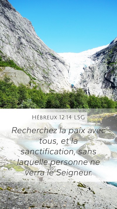 Hébreux 12:14 LSG Bible Verse Image