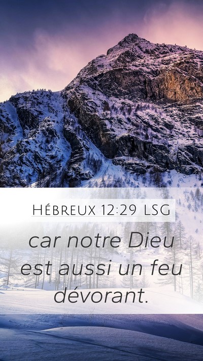 Hébreux 12:29 LSG Bible Verse Image