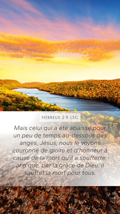 Hébreux 2:9 LSG Bible Verse Image