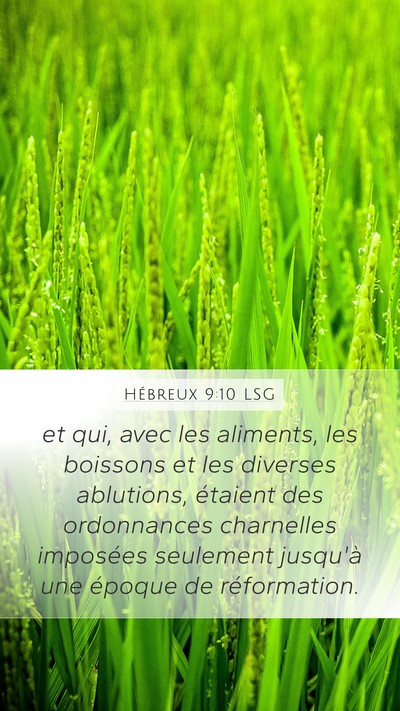 Hébreux 9:10 LSG Bible Verse Image