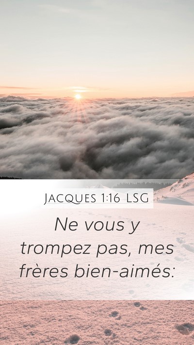 Jacques 1:16 LSG Bible Verse Image