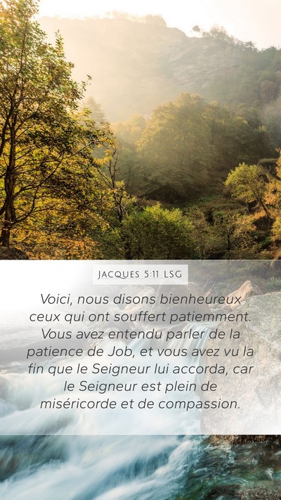 Jacques 5:11 LSG Bible Verse Image