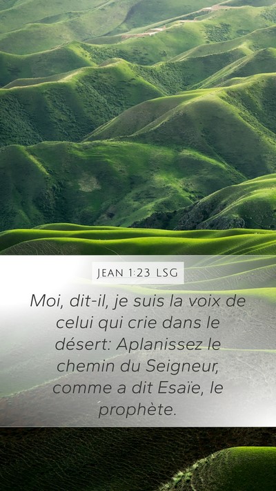 Jean 1:23 LSG Bible Verse Image