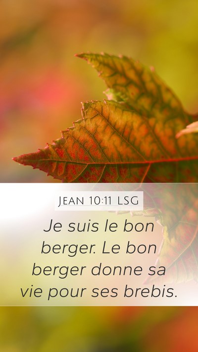 Jean 10:11 LSG Bible Verse Image