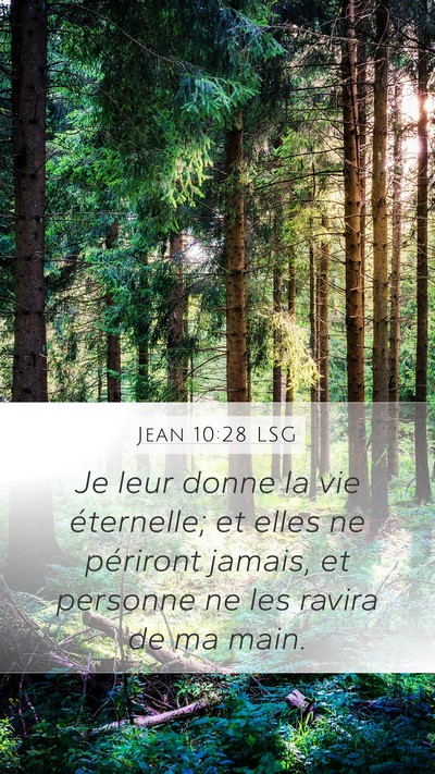 Jean 10:28 LSG Bible Verse Image