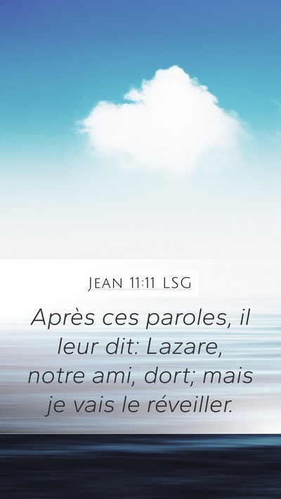 Jean 11:11 LSG Bible Verse Image
