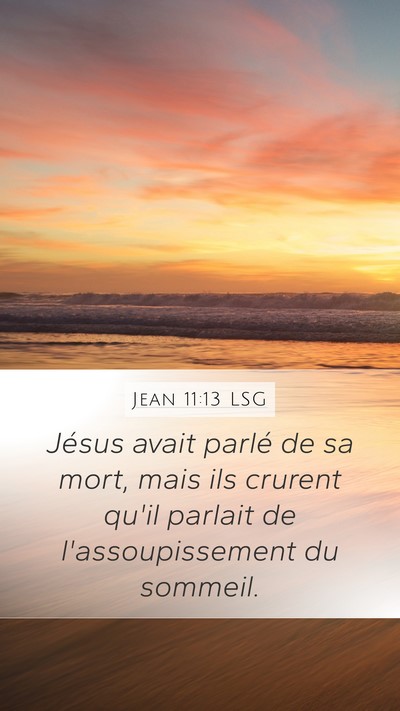 Jean 11:13 LSG Mobile Phone Wallpaper - Jésus avait parlé de sa mort, mais ils crurent - Mobile Bible Verse Wallpaper