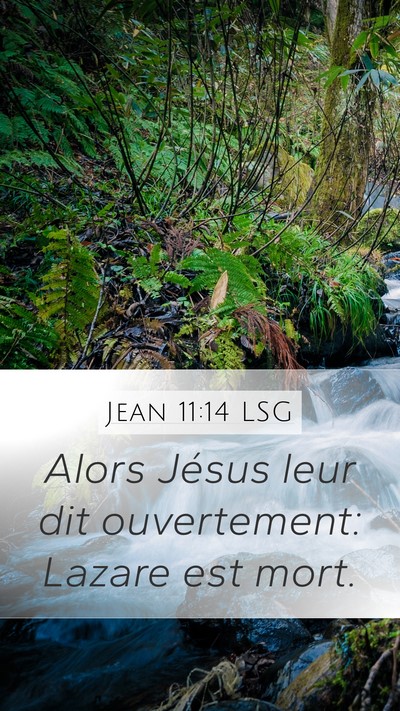 Jean 11:14 LSG Mobile Phone Wallpaper - Alors Jésus leur dit ouvertement: Lazare est - Mobile Bible Verse Wallpaper