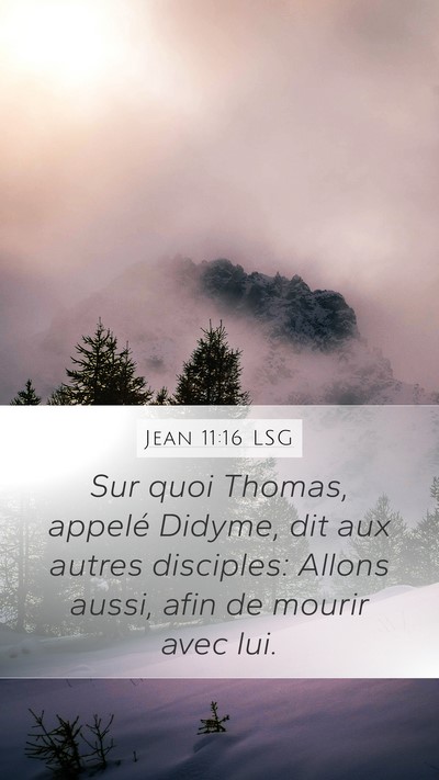 Jean 11:16 LSG Bible Verse Image
