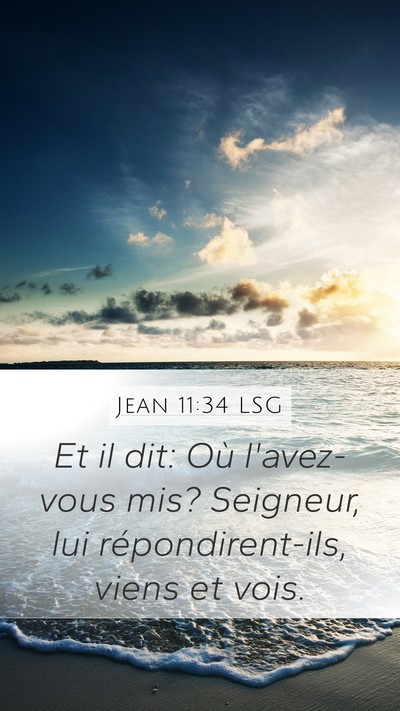 Jean 11:34 LSG Mobile Phone Wallpaper - Et il dit: Où l'avez-vous mis? Seigneur, lui - Mobile Bible Verse Wallpaper
