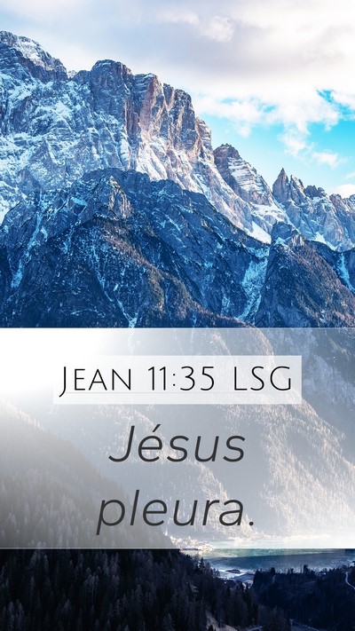 Jean 11:35 LSG Bible Verse Image