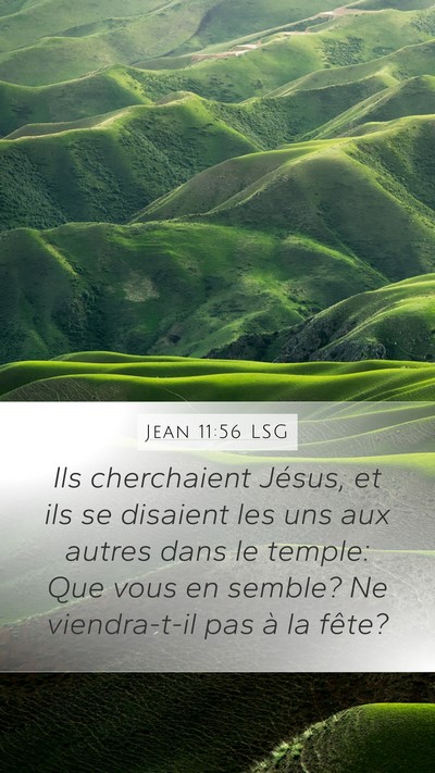 Jean 11:56 LSG Bible Verse Image