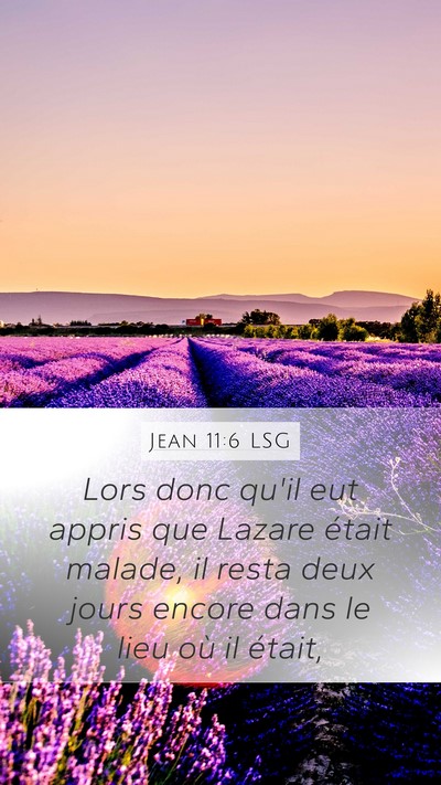 Jean 11:6 LSG Mobile Phone Wallpaper - Lors donc qu'il eut appris que Lazare était - Mobile Bible Verse Wallpaper