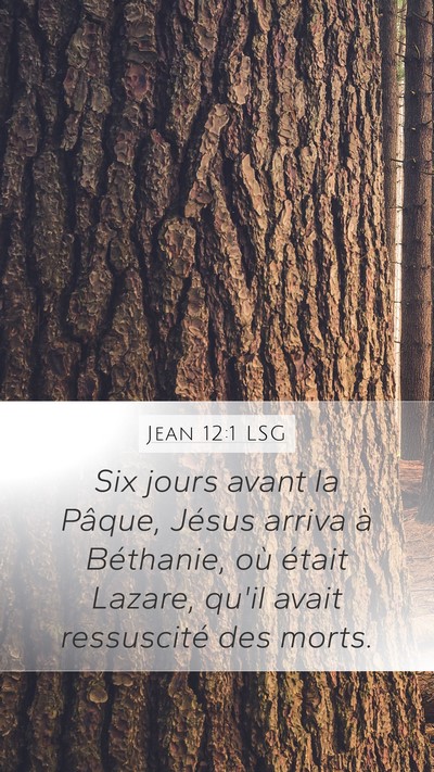 Jean 12:1 LSG Bible Verse Image