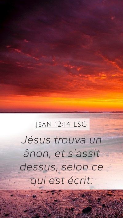 Jean 12:14 LSG Bible Verse Image