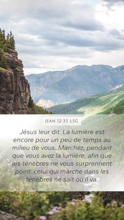 Jean 12:35 LSG Bible Verse Image