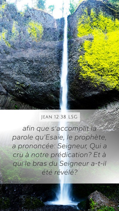 Jean 12:38 LSG Bible Verse Image