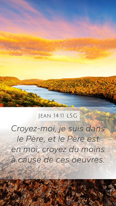 Jean 14:11 LSG Bible Verse Image
