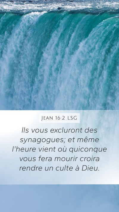 Jean 16:2 LSG Bible Verse Image