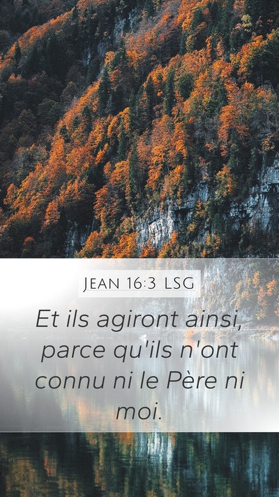 Jean 16:3 LSG Bible Verse Image