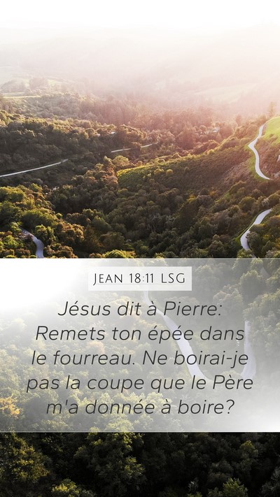 Jean 18:11 LSG Bible Verse Image