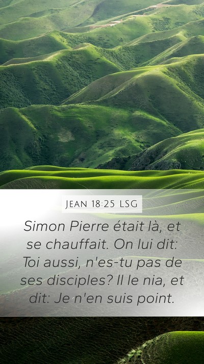Jean 18:25 LSG Bible Verse Image