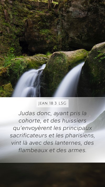 Jean 18:3 LSG Bible Verse Image