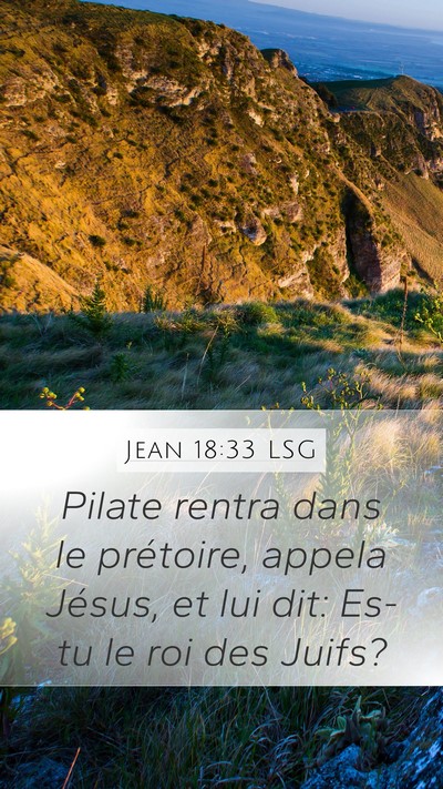 Jean 18:33 LSG Bible Verse Image