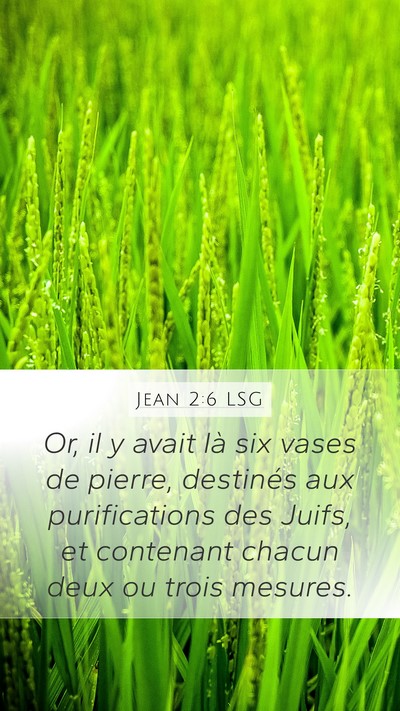 Jean 2:6 LSG Bible Verse Image