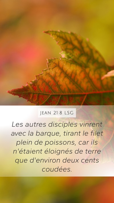 Jean 21:8 LSG Bible Verse Image
