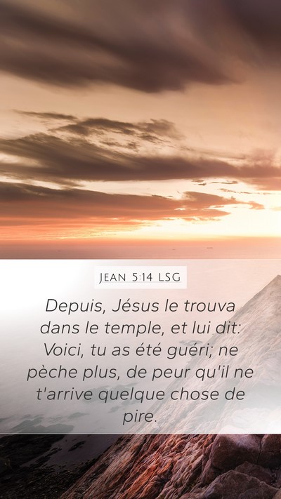 Jean 5:14 LSG Bible Verse Image