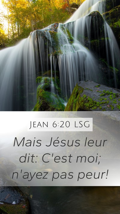 Jean 6:20 LSG Bible Verse Image