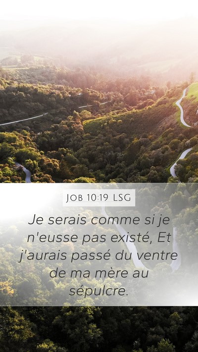 Job 10:19 LSG Mobile Phone Wallpaper - Je serais comme si je n'eusse pas existé, Et - Mobile Bible Verse Wallpaper