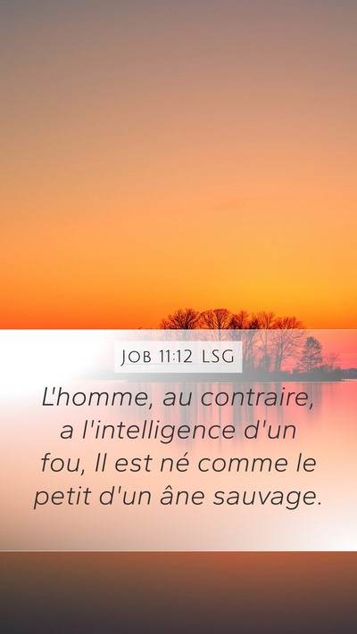 Job 11:12 LSG Bible Verse Image