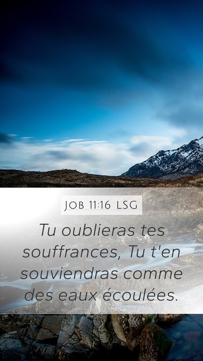 Job 11:16 LSG Mobile Phone Wallpaper - Tu oublieras tes souffrances, Tu t'en souviendras - Mobile Bible Verse Wallpaper