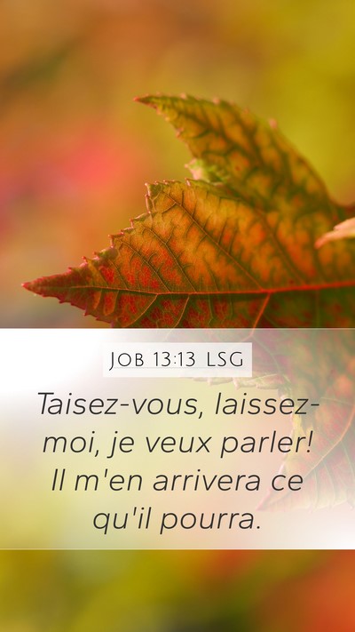 Job 13:13 LSG Bible Verse Image