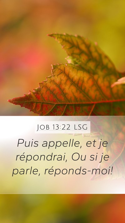 Job 13:22 LSG Bible Verse Image