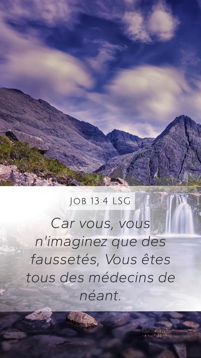Job 13:4 LSG Bible Verse Image