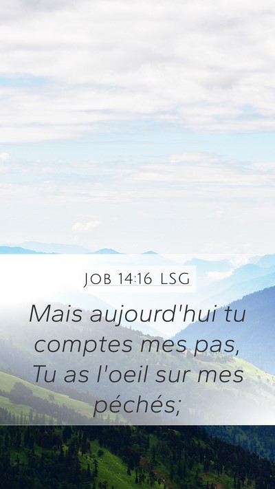 Job 14:16 LSG Bible Verse Image