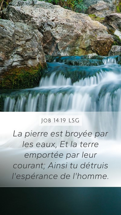 Job 14:19 LSG Bible Verse Image