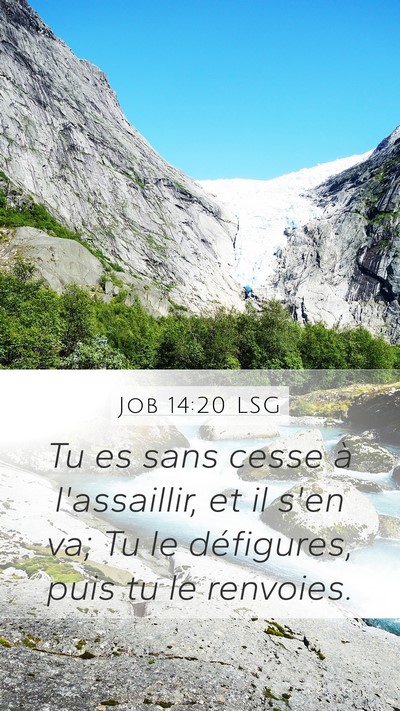 Job 14:20 LSG Bible Verse Image
