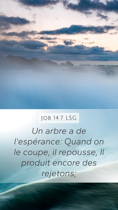 Job 14:7 LSG Bible Verse Image