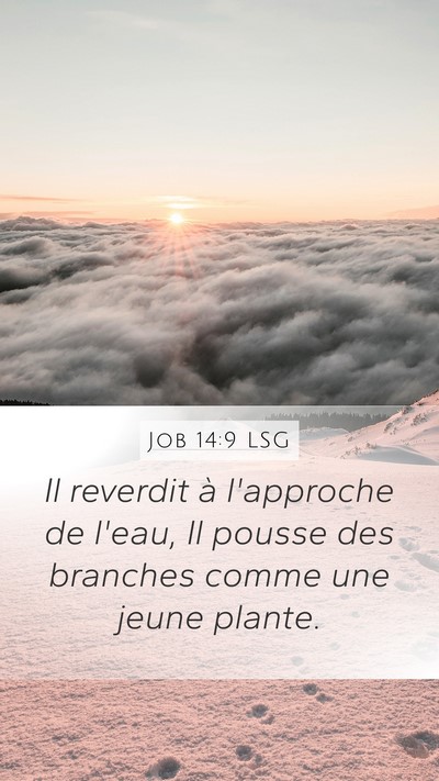 Job 14:9 LSG Mobile Phone Wallpaper - Il reverdit à l'approche de l'eau, Il pousse des - Mobile Bible Verse Wallpaper