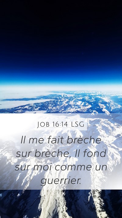 Job 16:14 LSG Mobile Phone Wallpaper - Il me fait brèche sur brèche, Il fond sur moi - Mobile Bible Verse Wallpaper
